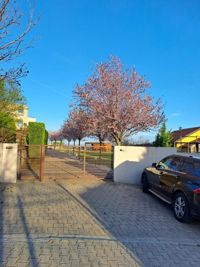 Villa Sunny Side Apartment Skopje Dolno Solnje Buitenkant foto
